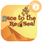 Download Race to the Red Sea