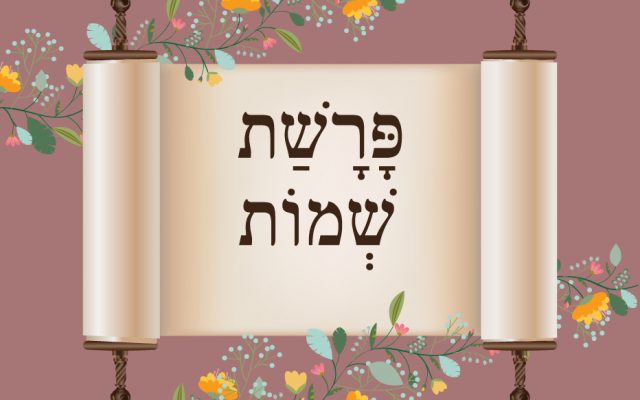 Parshat Shemot Cover