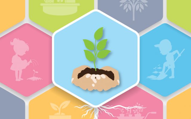 Tu Bishvat Course